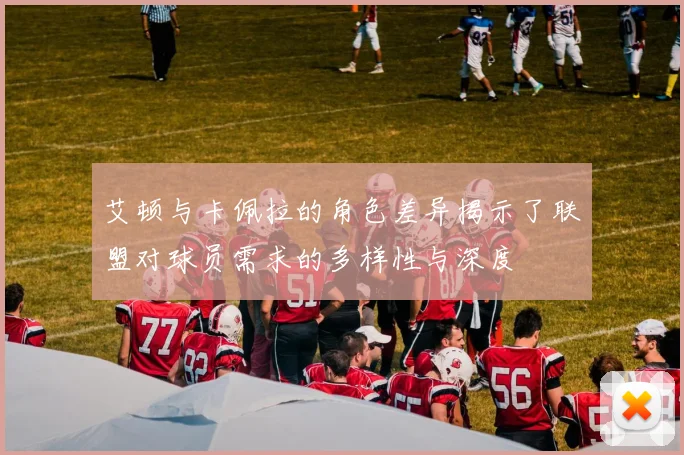 艾顿与卡佩拉的角色差异揭示了联盟对球员需求的多样性与深度